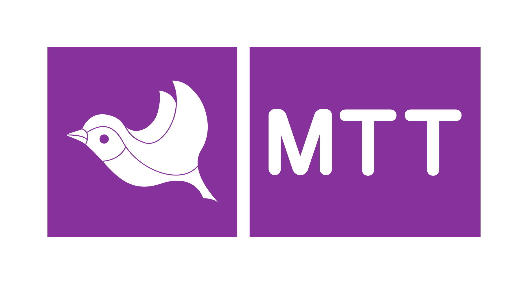 ОАО МТТ